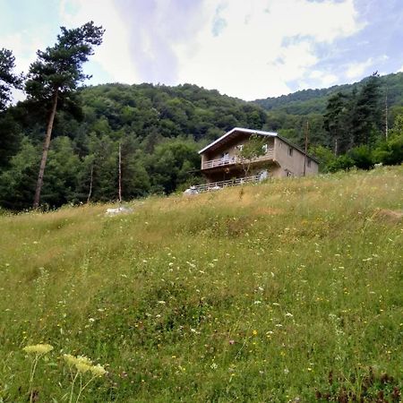 Guesthouse Gama In Khevsureti Roshka Экстерьер фото
