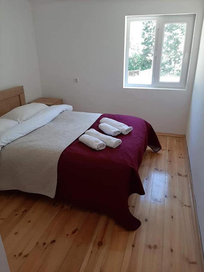 Guesthouse Gama In Khevsureti Roshka Экстерьер фото