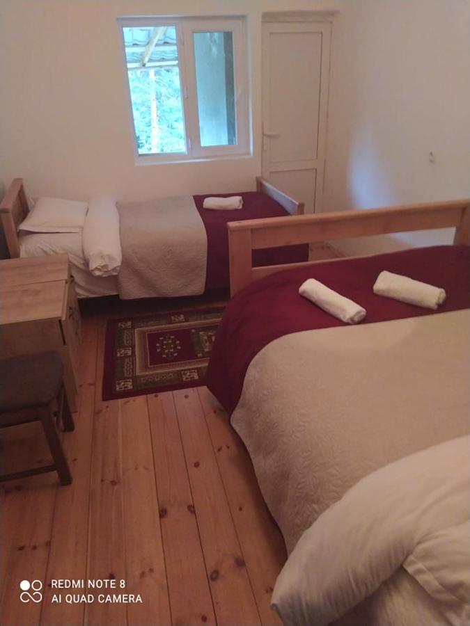 Guesthouse Gama In Khevsureti Roshka Экстерьер фото