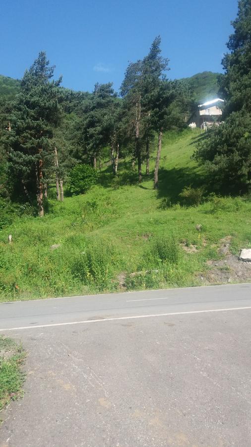 Guesthouse Gama In Khevsureti Roshka Экстерьер фото