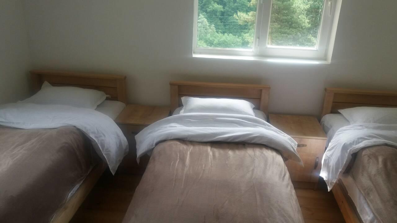 Guesthouse Gama In Khevsureti Roshka Экстерьер фото