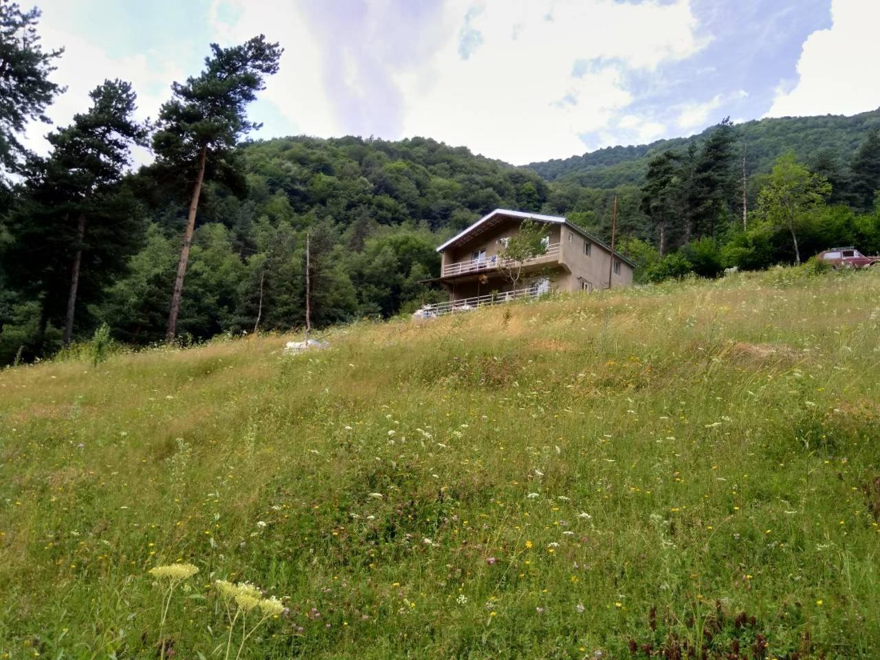 Guesthouse Gama In Khevsureti Roshka Экстерьер фото